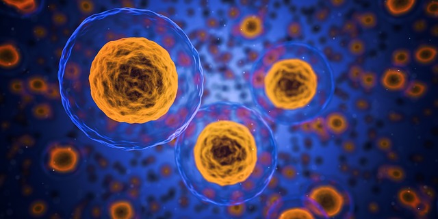 Antibiotika: jak to tedy je?